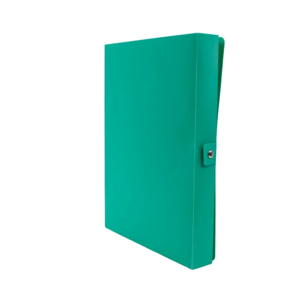 Boîte archive pp 60mic dos 4 vert Accord