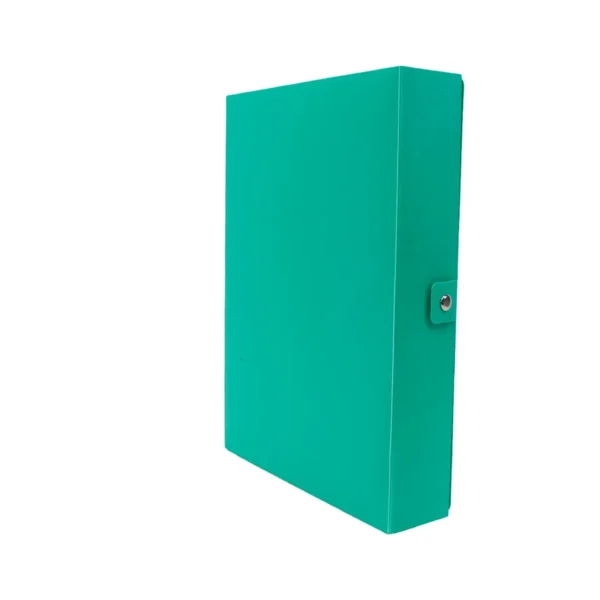 Boîte archive pp 60mic dos 6 vert Accord