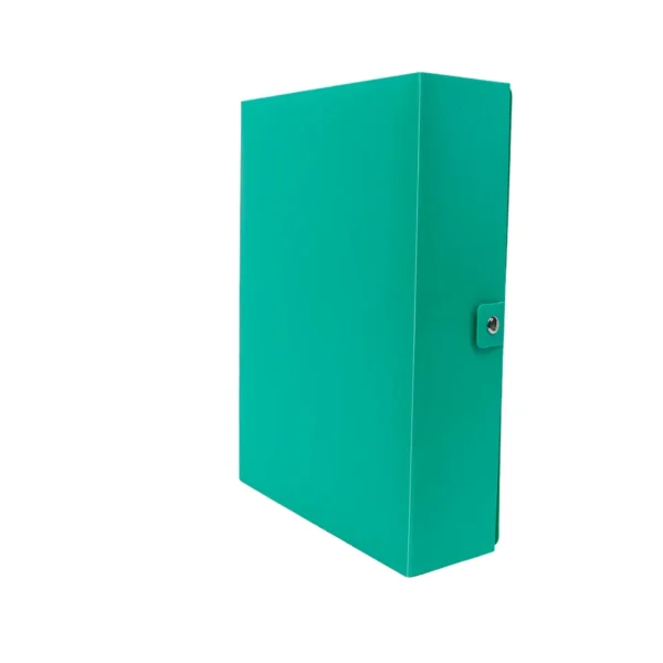 Boîte archive pp 60mic dos 8 vert Accord