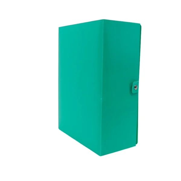 Boîte archive pp 60mic dos 10 vert Accord